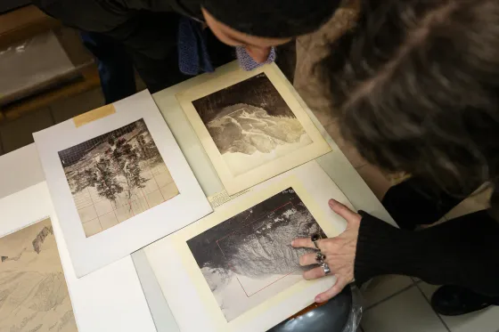 portfolio image