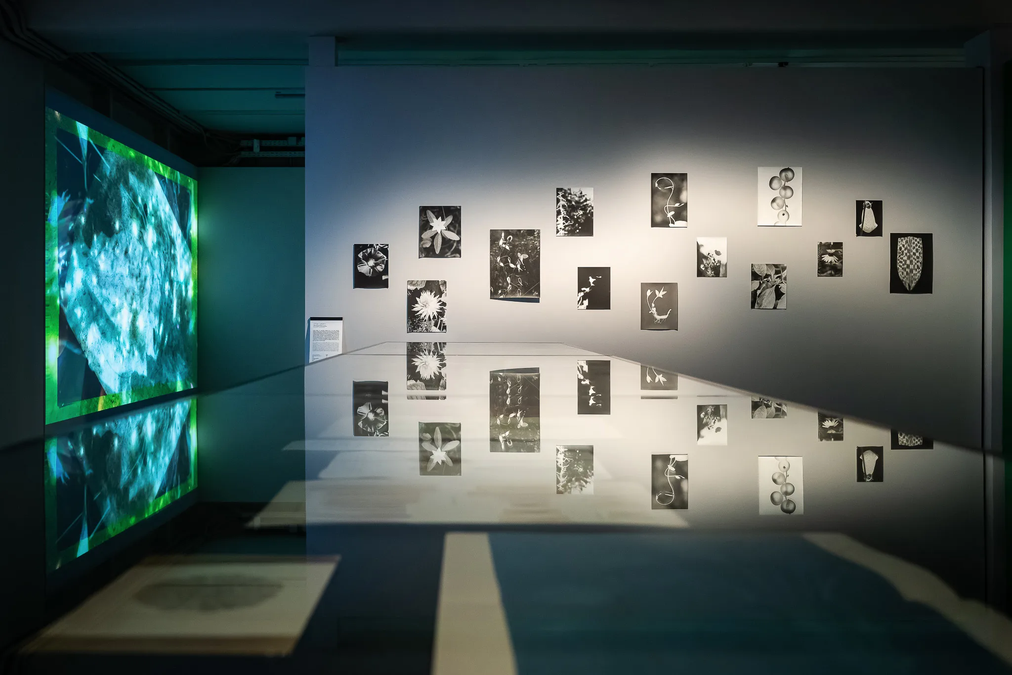 Exhibition view with projection – FOTO WIEN at Foto Arsenal Wien, October 2025