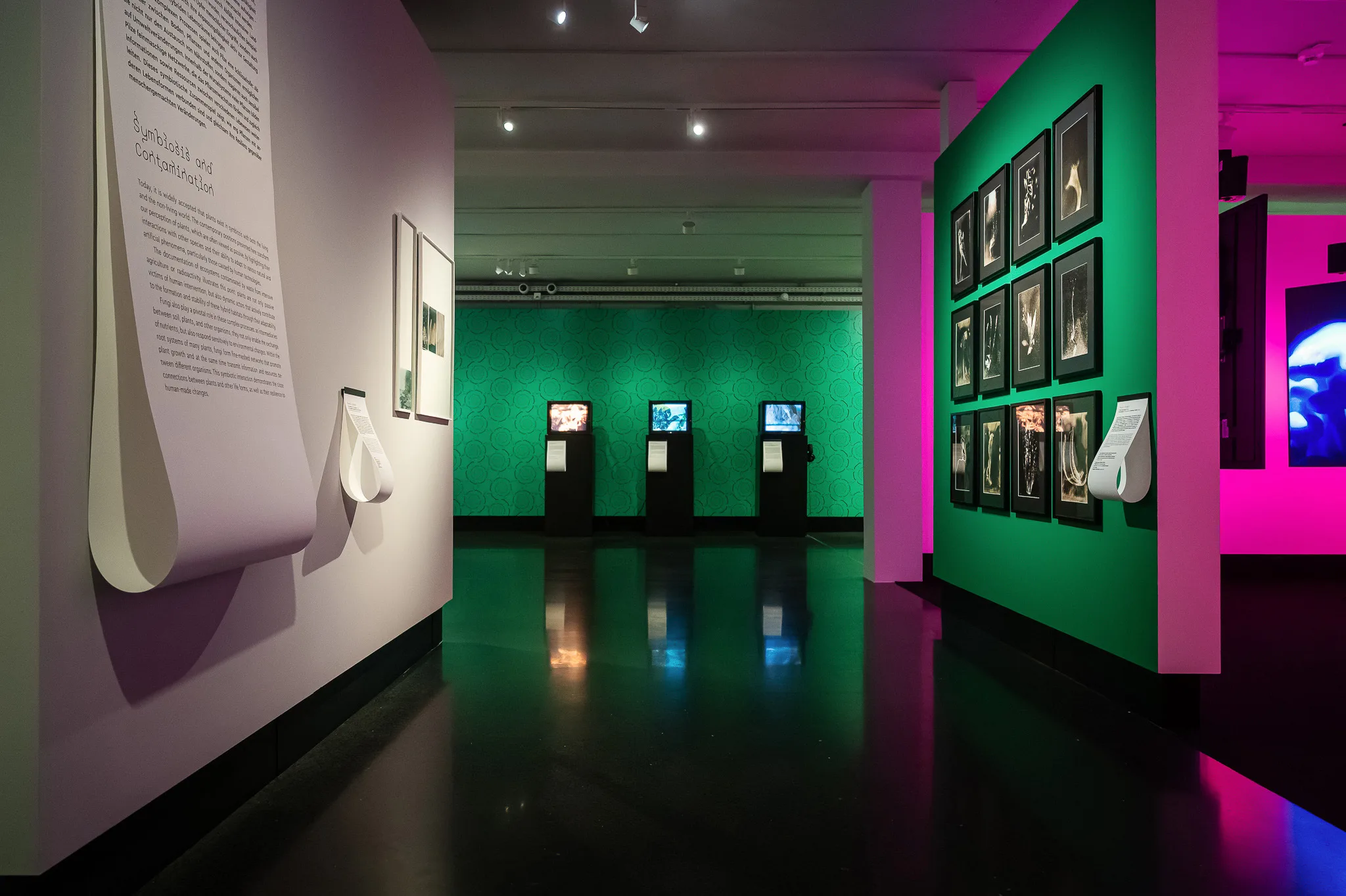 Paper scroll with wall text, the coloured rooms behind – FOTO WIEN at Foto Arsenal Wien, October 2025