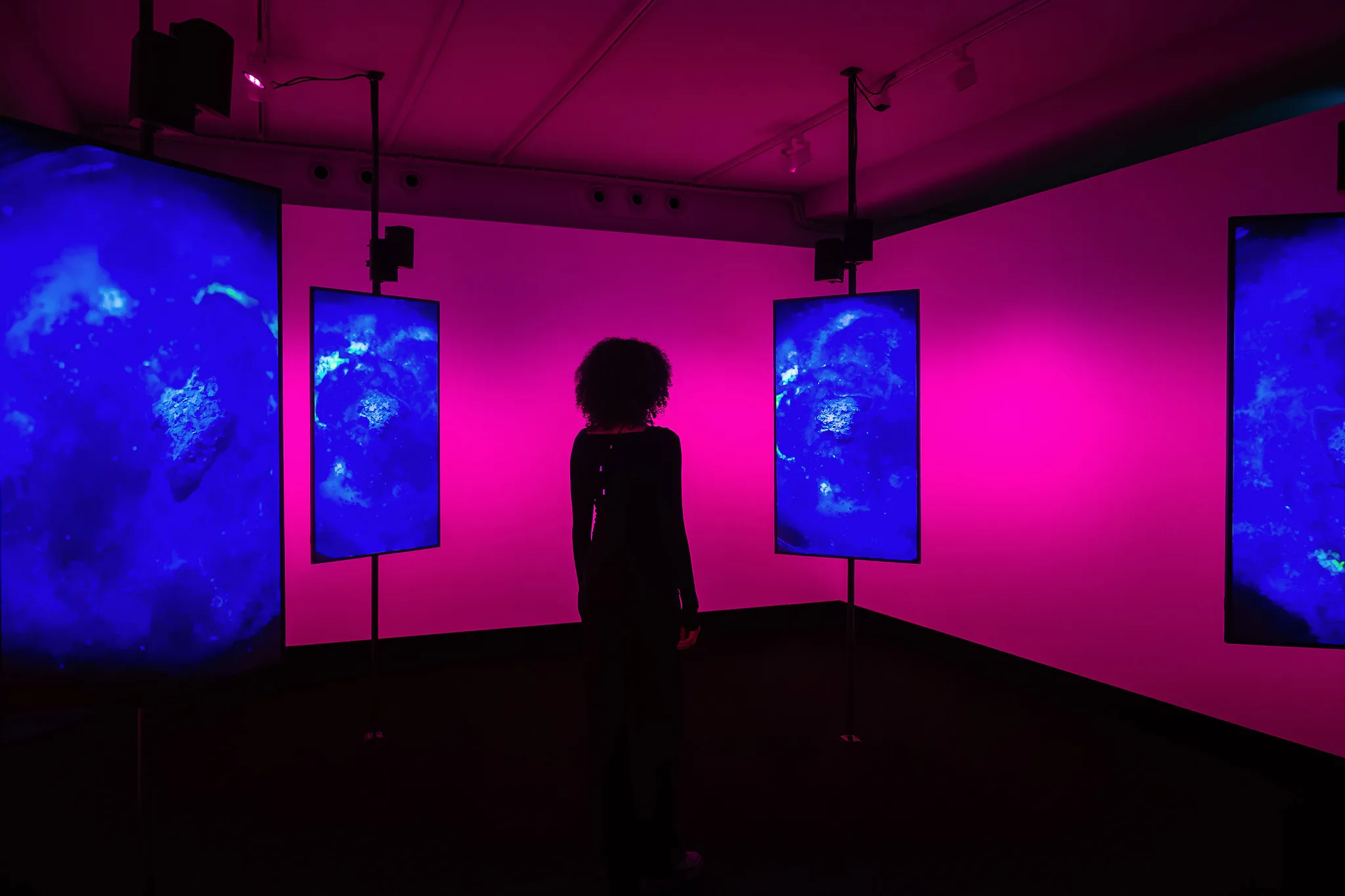 Projections in the pink room – FOTO WIEN at Foto Arsenal Wien, October 2025