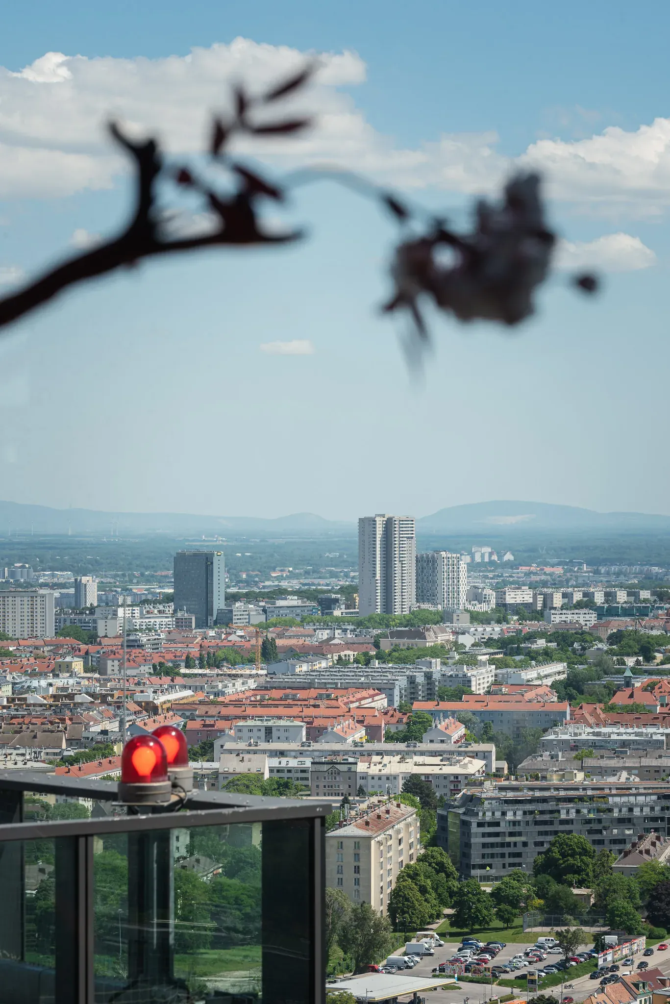 Blühender Zweig vor der Wiener Stadtsilhouette.